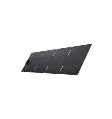 EcoFlow 60W Prenosni Solarni Panel (USB-C)